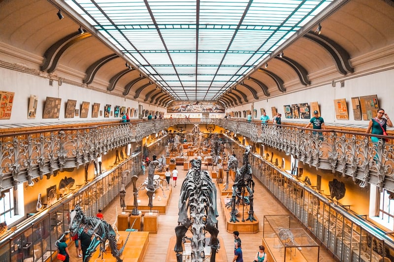 Prehistoric Explorations