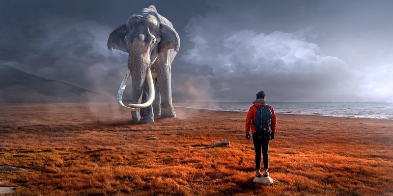Robotics and AI Encounters